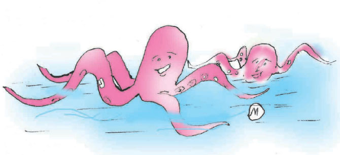 പ്രവചിക്കാന്‍ വേണം ഒരു ലോക്കല്‍ പോള്‍ നീരാളി