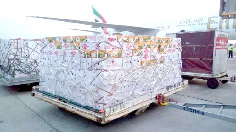 നെ​സ്​​റ്റോ ഹൈ​പ്പ​ർ​മാ​ർ​ക്ക​റ്റ്​ ചാ​ർ​േ​ട്ട​ഡ്​ വി​മാ​ന​ത്തി​ൽ പ​ച്ച​ക്ക​റി​ക​ൾ എ​ത്തി​ച്ചു