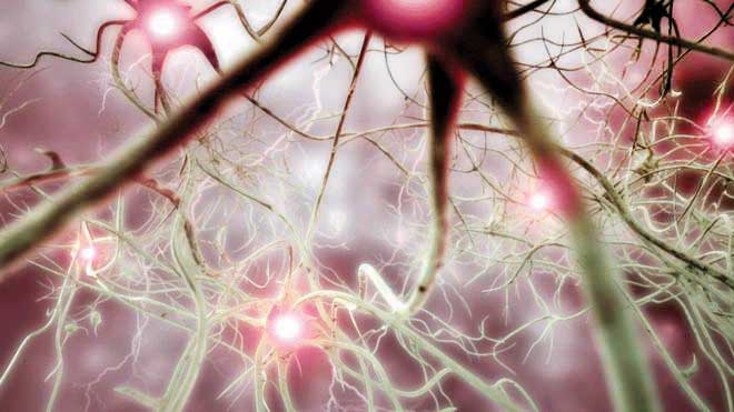 മ​സ്​​തി​ഷ്ക ഹാ​ക്കി​ങ്ങു​മാ​യി  ഇ​ലോ​ൺ മ​സ്​​ക്​