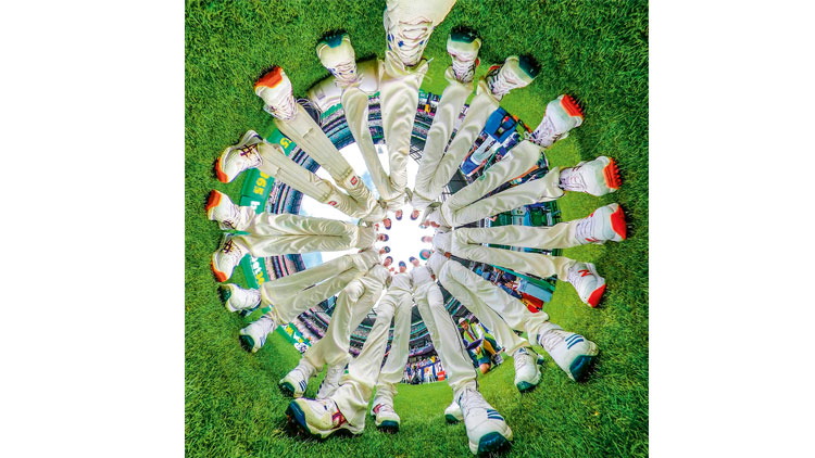 കിവികള്‍ വരവറിയിച്ചു തുടങ്ങി