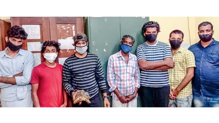 നക്ഷത്ര ആമയെ വിൽക്കാൻ ശ്രമം; ഏഴംഗ സംഘം പിടിയിൽ നക്ഷത്ര ആമയെ വിൽക്കാൻ ശ്രമം; ഏഴംഗ സംഘം പിടിയിൽ