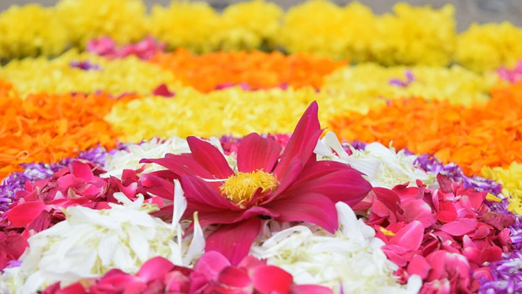 ഇനി പൂവിളിക്കാലം