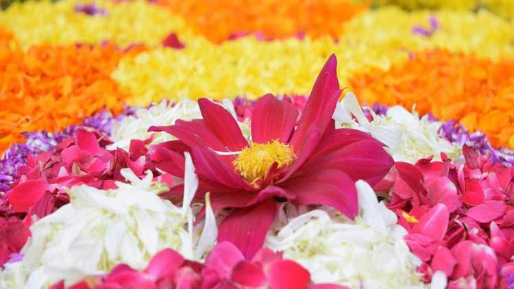 പ്രവാസലോകം തിര​ുവോണം ആഘോഷിച്ചു