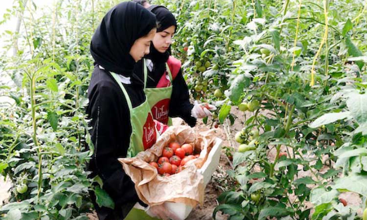 ‘ആ​രോ​ഗ്യം ആ​ദ്യം’ വി​ള​വെ​ടു​പ്പ്​  ഉ​ൽ​സ​വ​മാ​യി