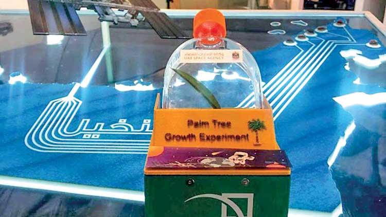 യു.​എ.​ഇ​യി​ൽ​നി​ന്നു​ള്ള പ​ന​വി​ത്ത്​ ബ​ഹി​രാ​കാ​ശ​ത്ത്​ എ​ത്തി