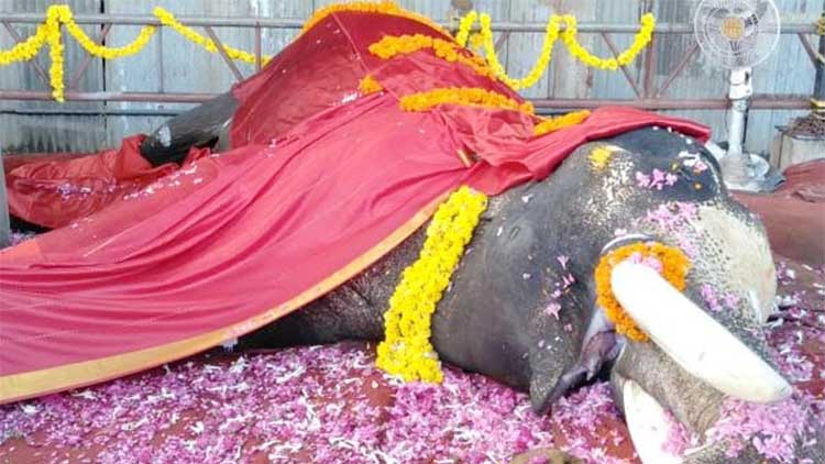 paramekkavu-rajendran