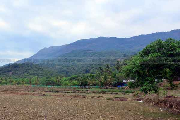 paruthimala paruthimala