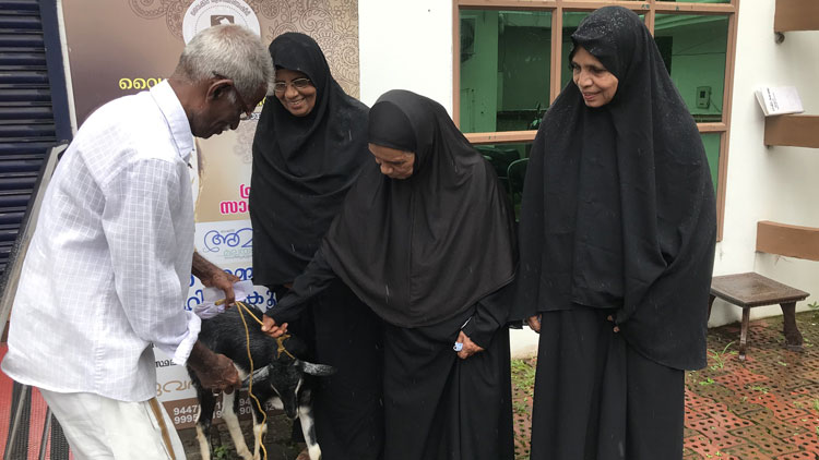 ആ ചാരുകസേരക്ക് പിന്നിൽ  ഖദീജയും പാത്തുക്കുട്ടിയും ആരിഫയും സെയ്​ദുമുഹമ്മദും വീണ്ടും ചേർന്നുനിന്നു