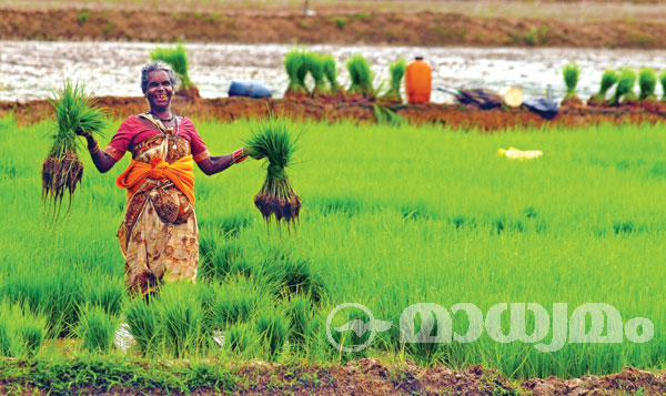 ചിരിച്ചെത്തി ചിങ്ങം