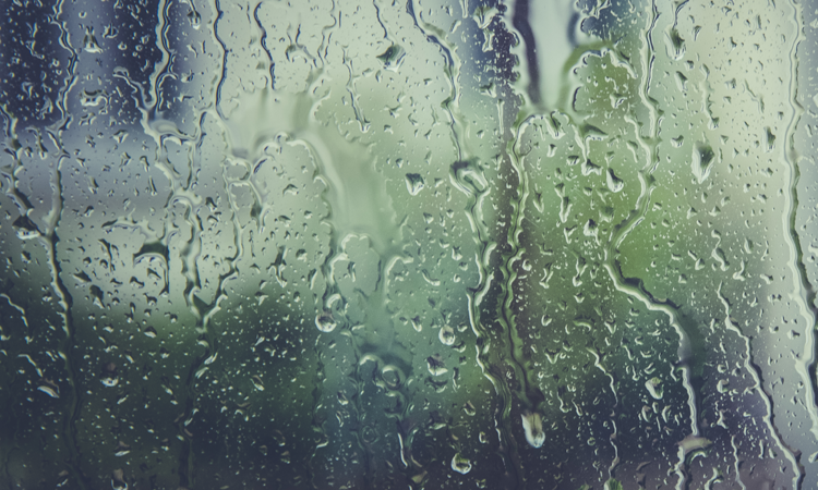 അ​ടു​ത്ത മൂ​ന്ന്​ ദി​വ​സ​ങ്ങ​ളി​ൽ മ​ഴ​ക്ക്​ സാ​ധ്യ​ത 