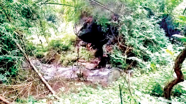 അട്ടപ്പാടി വനത്തിൽ ഏറ്റുമുട്ടൽ: മൂന്ന് മാവോയിസ്റ്റുകൾ കൊല്ലപ്പെട്ടു