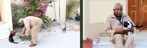 പൂച്ചകള്‍ക്കായി ഫിലിപ്പ് ചേട്ടന്‍െറ ജീവിതം