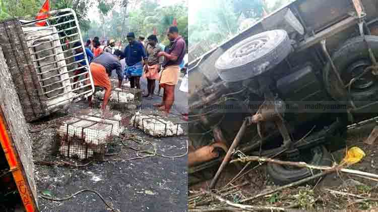 pick-up-van-avccident