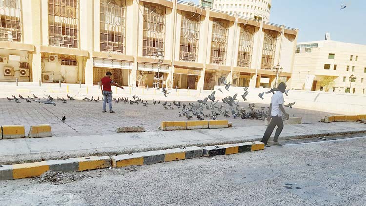 പൂ​ച്ച​ക​ൾ​ക്കി​വി​ടെ വി​രു​ന്നാ​ണ്​; പൂ​ത്തു​ല​യ​െ​ട്ട കാ​രു​ണ്യം