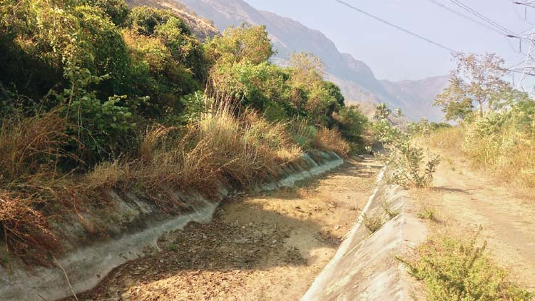 പ​ല​ക​പ്പാ​ണ്ടി ക​നാ​ലി​ൽ  അ​ന​ധി​കൃ​ത മ​ണ​ലെ​ടു​പ്പ്