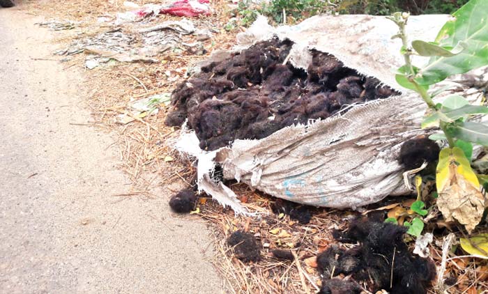 ഈ ​വ​ഴി ന​ട​ക്ക​ണ​മെ​ങ്കി​ൽ മൂ​ക്കു പൊ​ത്ത​ണം...