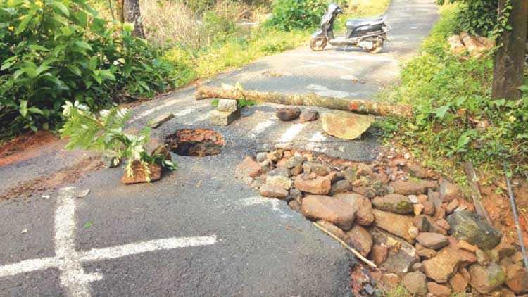 ദു​രി​ത​പാ​ത താ​ണ്ട​ണം,  മീ​ൻ​വ​ല്ല​ത്തെ​ത്താ​ൻ