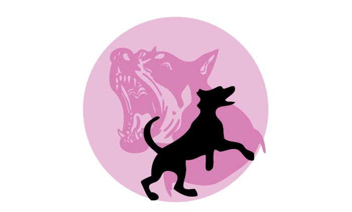 നൊ​ച്ചൂ​രി​ലും കോ​ട്ടാ​യിയിലും തെ​രു​വു​നാ​യ് ശ​ല്യം രൂ​ക്ഷം