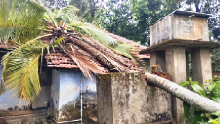 വേനൽമ​ഴ: കാറ്റിൽ വ്യാപക നാശം