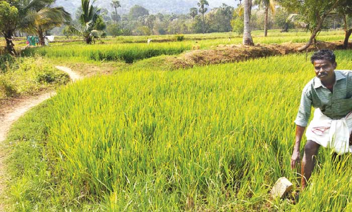 ഞങ്ങളുടെ റോഡ്​ എന്ന്​ യാഥാർഥ്യമാവും?