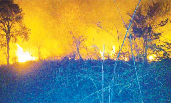 എരിതീയിൽ ഭീതിയൊഴിയാതെ ജില്ല