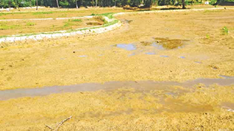 ക​നാ​ലു​ക​ളു​ടെ വാ​ല​റ്റ​ത്തി​ൽ  വെ​ള്ള​മി​ല്ല; ക​ർ​ഷ​ക​ർ ദു​രി​ത​ത്തി​ൽ