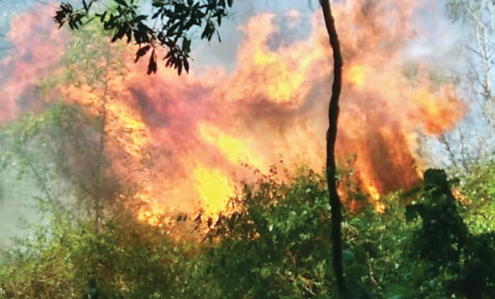 അ​ട്ട​പ്പാ​ടി​യി​ൽ അ​ണ​യാ​തെ കാ​ട്ടു​തീ