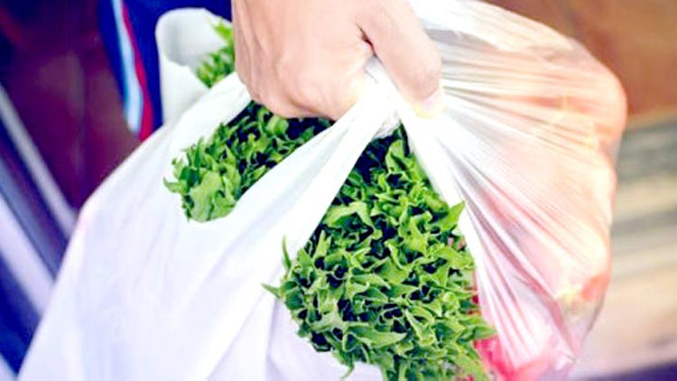 ഒറ്റത്തവണ ഉപയോഗം: പ്ലാസ്​റ്റിക് കാരിബാഗുകൾ നിരോധിക്കും