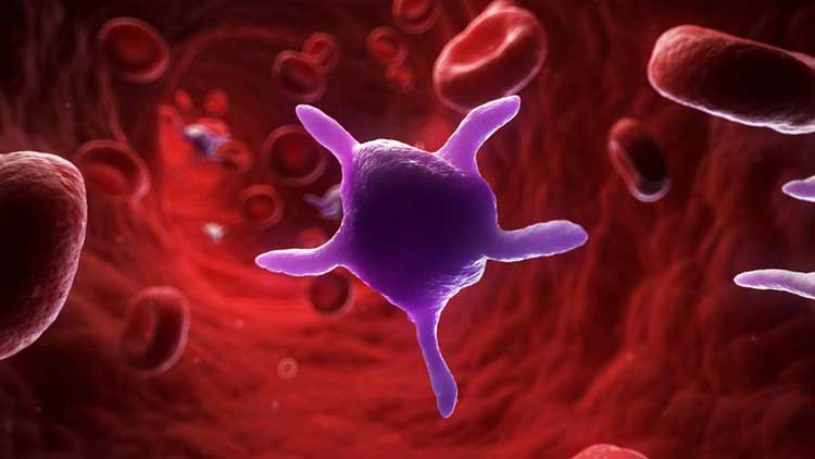 ലു​ക്കീ​മി​യ ബാ​ധി​ച്ച കു​ട്ടി​ക്ക്​  പ്ലേ​റ്റ്​​ല​റ്റ്​ വേ​ണം