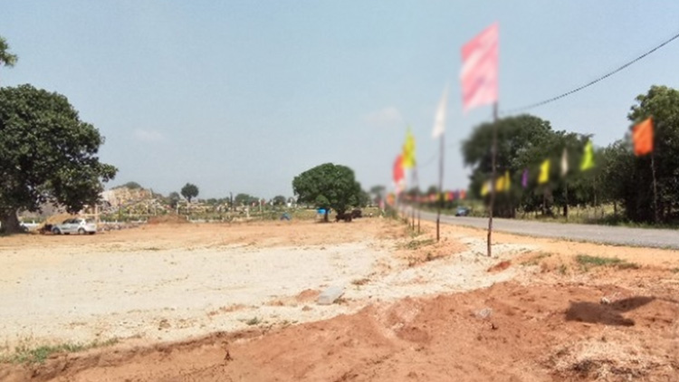 പാർട്ടികൾ ഭൂമി വിൽക്കാൻ സമ്മതിക്കുന്നി​െല്ലന്ന്​ പ്രവാസി വീട്ടമ്മ