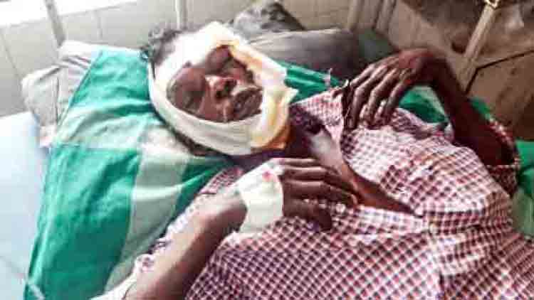 പുലി കുറുകെ ചാടി; സ്കൂട്ടർ മറിഞ്ഞ് ഫോറസ്​റ്റ്​ വാച്ചർക്ക് പരിക്ക്​