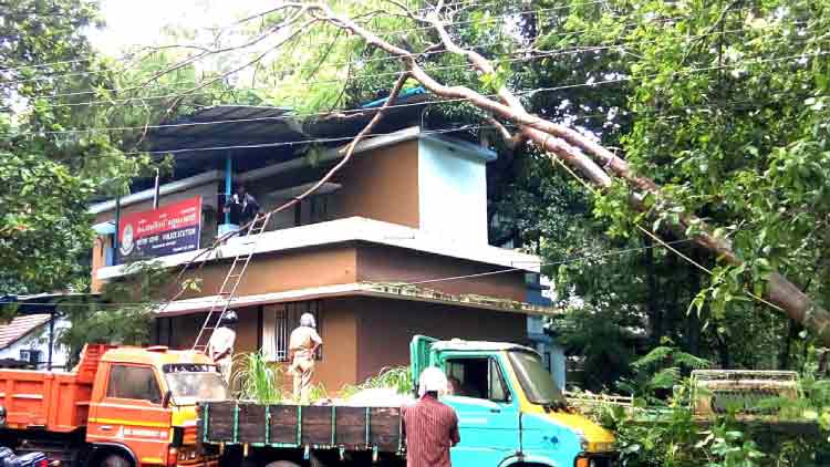 പൊലീസ് സ്​റ്റേഷൻ കെട്ടിടത്തിന്​ മുകളിലേക്ക് മരം കടപുഴകി
