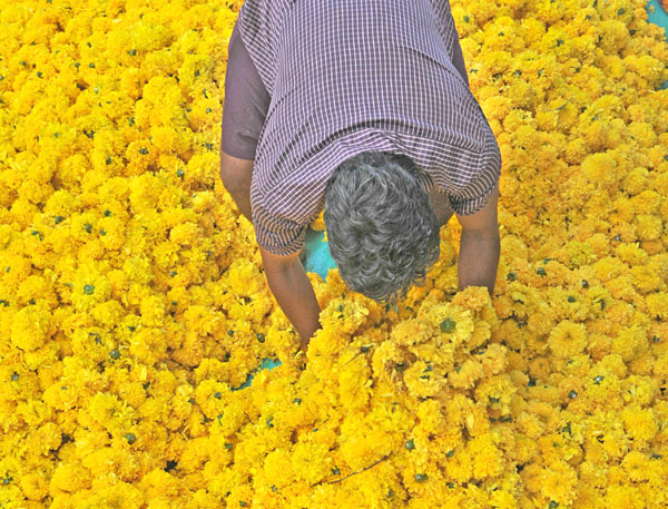 പൂക്കളത്തെിത്തുടങ്ങി;  ഓണാഘോഷം കെങ്കേമമാവും