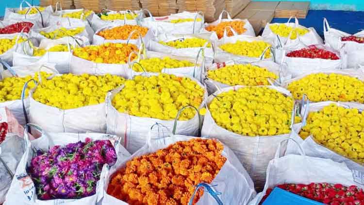 പൂക്കളെത്തി; സഹിഷ്​ണുതയുടെ സ്​നേഹക്കളം തീർക്കാൻ