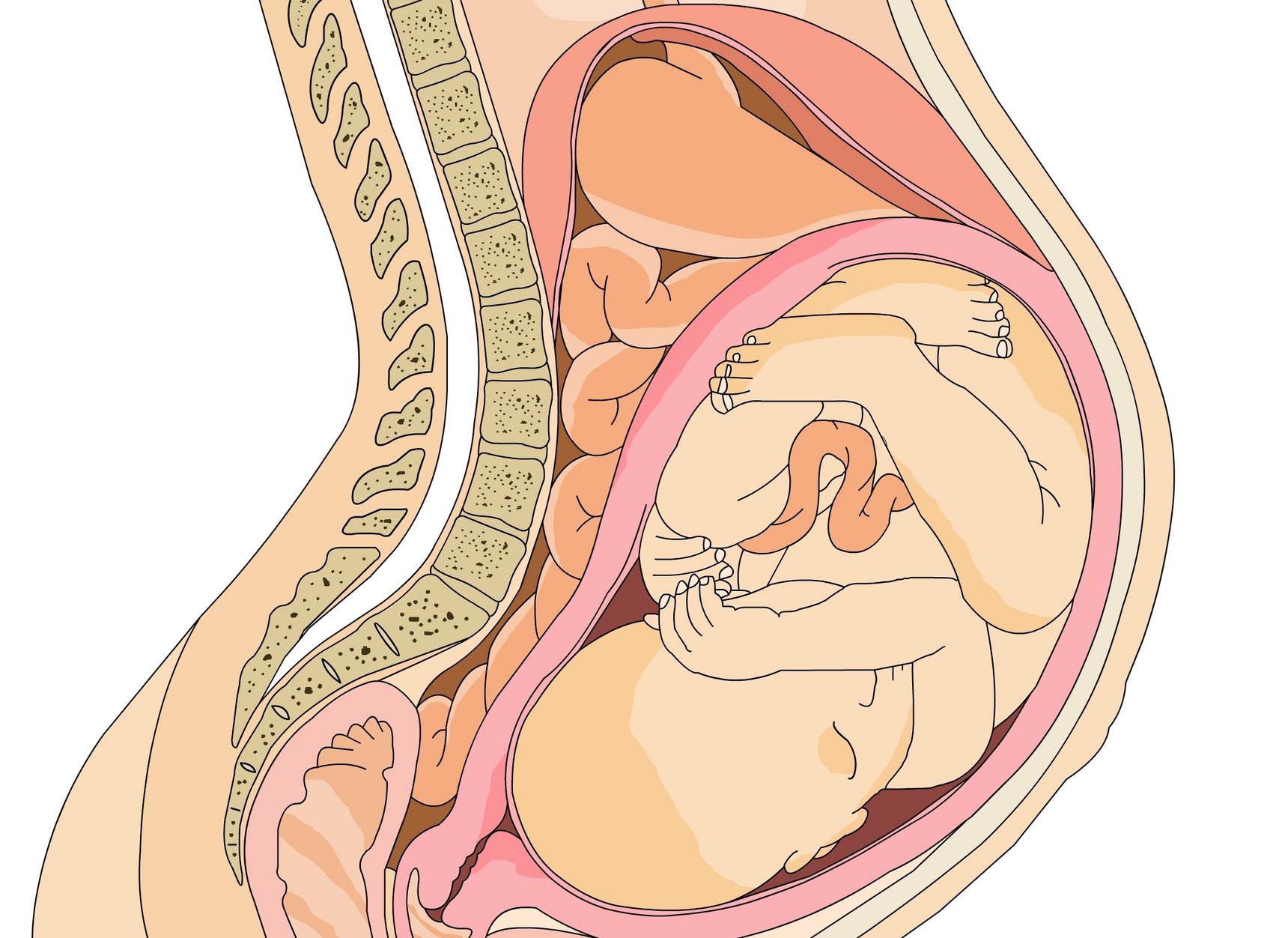 ഗര്‍ഭധാരണവും പ്രസവവും രോഗമല്ല