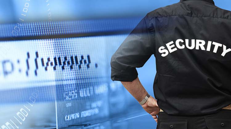 private-security