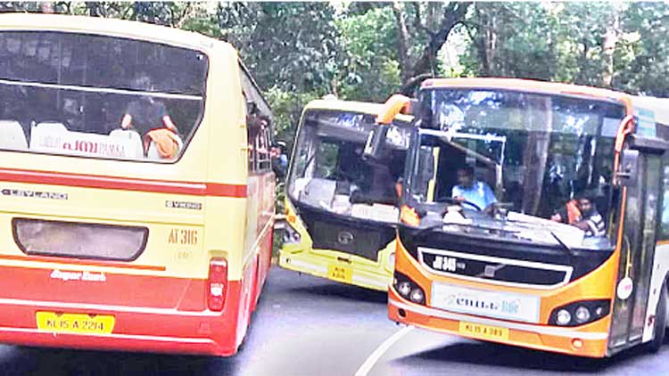 പമ്പ കാനനപാതയിൽ അപകടങ്ങൾ പതിവാകുന്നു