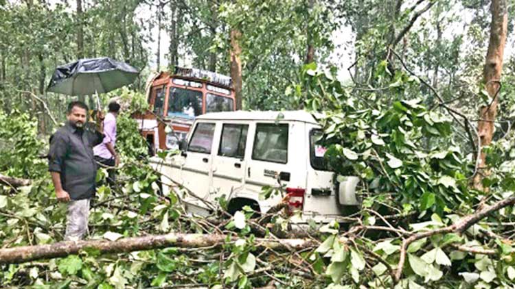 കാറ്റിലും മഴയിലും വ്യാപക നാശനഷ്​ടം
