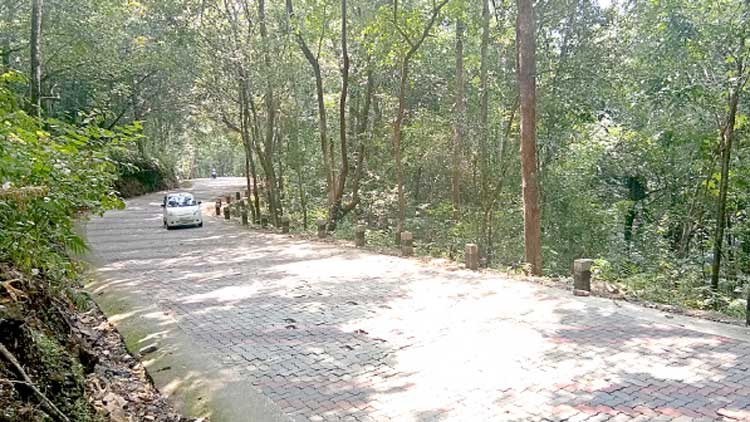 തീർഥാടനത്തിനു ദിവസങ്ങൾ മാത്രം ചിറ്റാർ-അച്ചൻകോവിൽ റോഡിൽ മുന്നൊരുക്കമില്ല