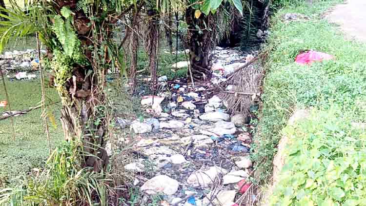 കടക്കാടിനു ശാപമായി നാടുനീളെ മാലിന്യം