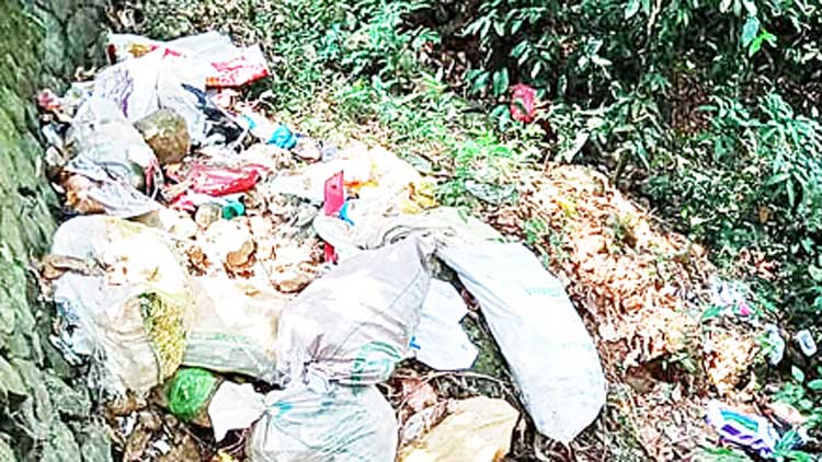 നീലിപിലാവ്-തണ്ണിത്തോട്​  റോഡിൽ മാലിന്യം