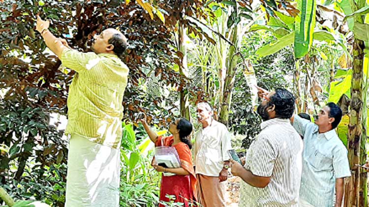 ചിറ്റാറിലെ മണ്ണ്​ ഹൈറേഞ്ച്​ വിളകൾക്ക്​ അനുയോജ്യമെന്ന്​ പഠനസംഘം