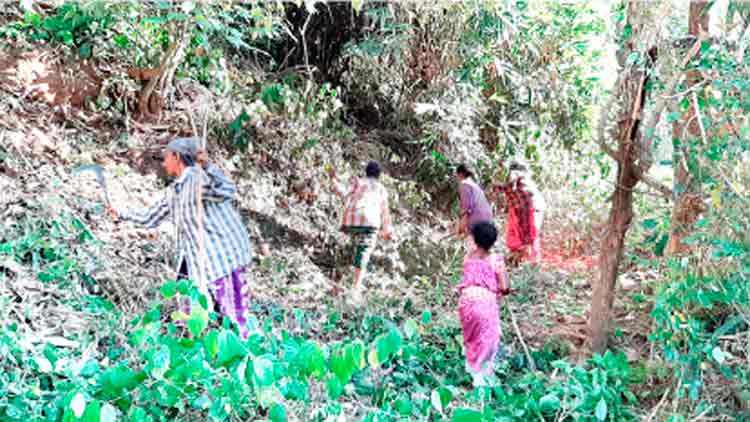 വേനൽ കടുത്തു;  കാടുകൾ കത്തിയമരുന്നു