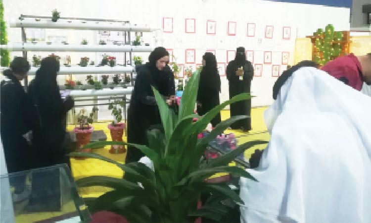 പുഷ്പമേളയിൽ ‘ഹൈഡ്രോപോണിക്സ്’ സാങ്കേതിക വിദ്യയുടെ അറിവുകളും