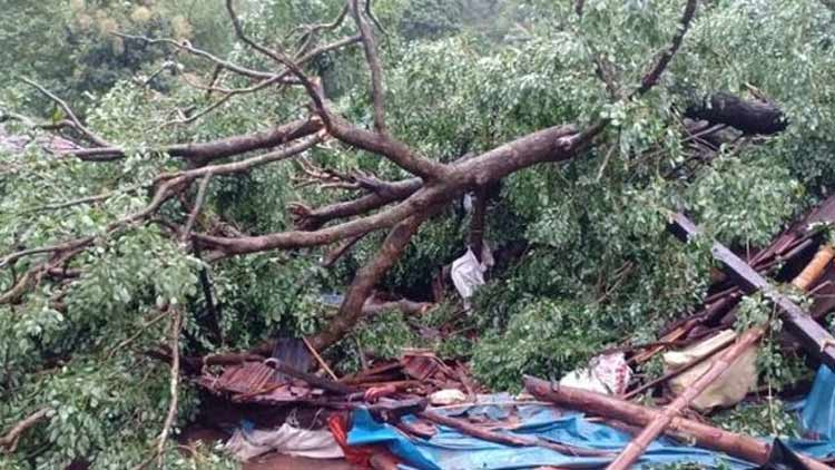 അട്ടപ്പാടിയിൽ വീടിന് മുകളിലേക്ക് മരം വീണ് ഒരാൾ മരിച്ചു