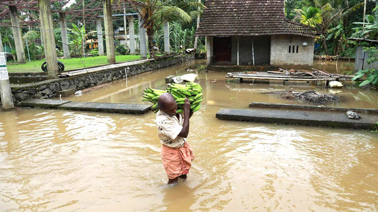 ​മഴക്കുറവിലും അധികമഴ; തുലാം പ്രതീക്ഷക്കപ്പുറം