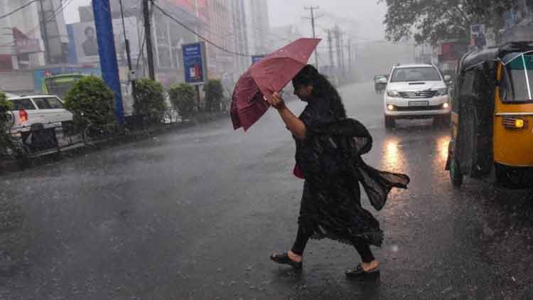 ശക്തമായ മഴക്ക് സാധ്യത; വിവിധ ജില്ലകളിൽ യെല്ലോ അലേർട്ട്