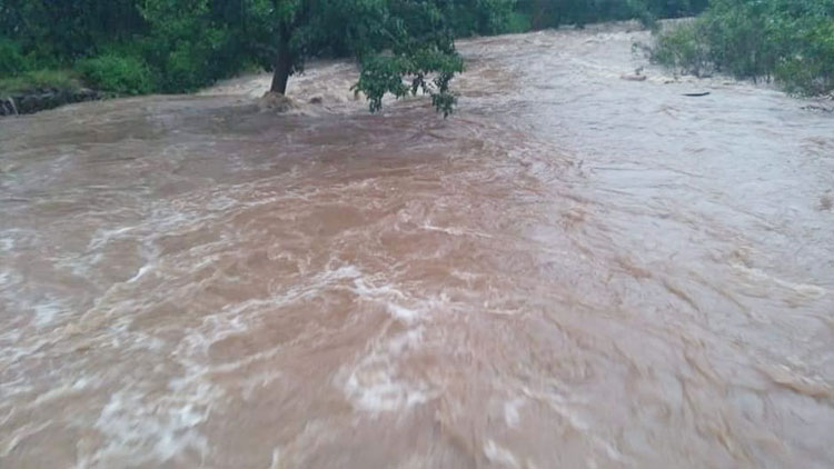 വയനാട്ടിൽ വീട്​ ഒഴിയുന്നതിനിടെ യുവതി കുഴഞ്ഞുവീണ്​ മരിച്ചു