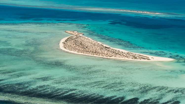 ‘െറ​ഡ്​ സീ ​പ​ദ്ധ​തി’ മേ​ഖ​ല  ഹ​രി​താ​ഭ​മാ​ക്കാ​ൻ നടപടി തുടങ്ങി