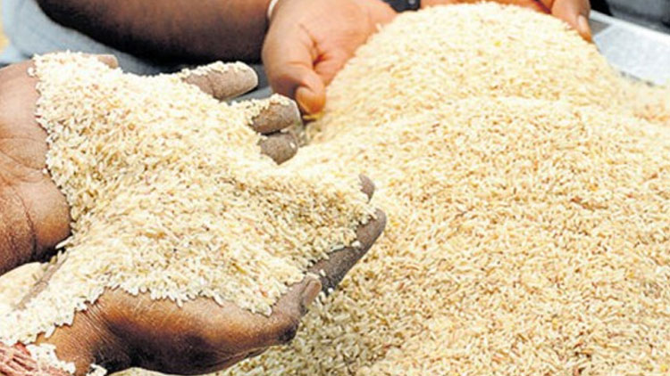 സ​മൂ​ഹ അ​ടു​ക്ക​ള​യി​ലേ​ക്ക് ല​ഭി​ച്ച അ​രി കോ​ൺ​ഗ്ര​സ് നേ​താ​ക്ക​ൾ കടത്തിയെന്ന്​ എൽ.ഡി.എഫ്​